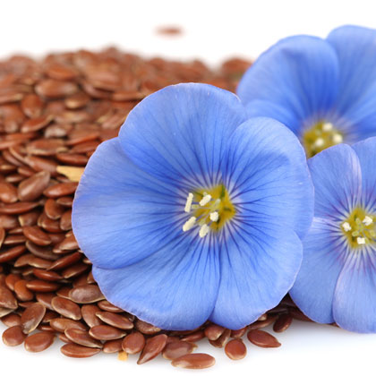 Flax Seed (Linseed) Oil