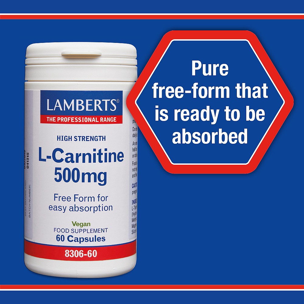 Lamberts L-Carnitine 500mg