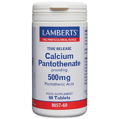 Calcium Pantothenate 500mg