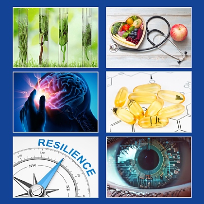 ALL 6 WEBINARS OFFER